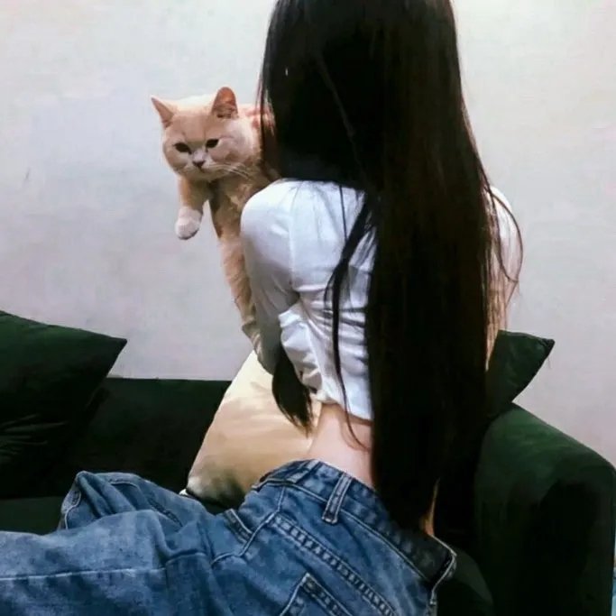 陌生人的爱